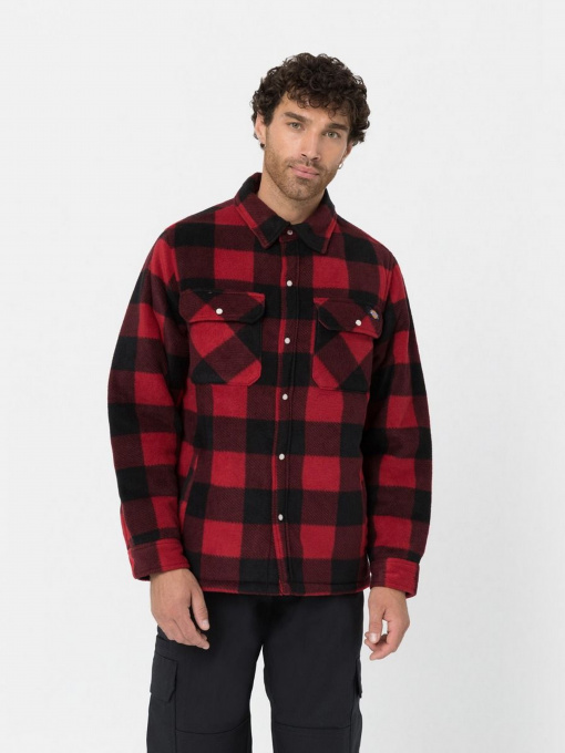 Сорочки Dickies Portland модель DK0A4XTARDX1 Фото