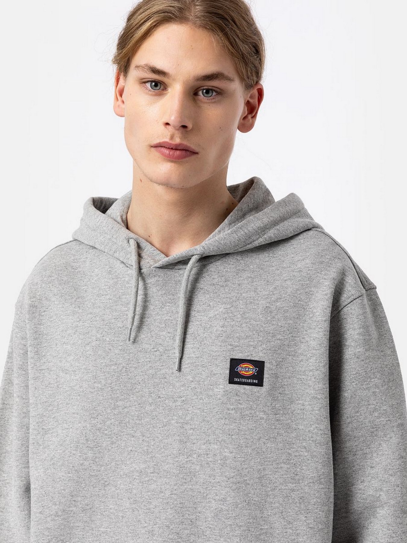 Худи и свитшоты Dickies Mount Vista модель DK0A4XYOGYM1 Фото