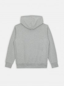 Худи и свитшоты Dickies Mount Vista модель DK0A4XYOGYM1 Фото