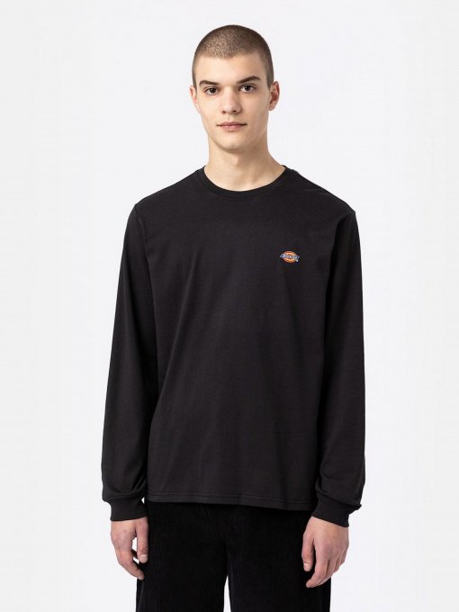 Худи и свитшоты Dickies LS Mapleton модель DK0A4Y4RBLK1 Фото