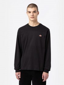 Худи и свитшоты Dickies LS Mapleton модель DK0A4Y4RBLK1 Фото