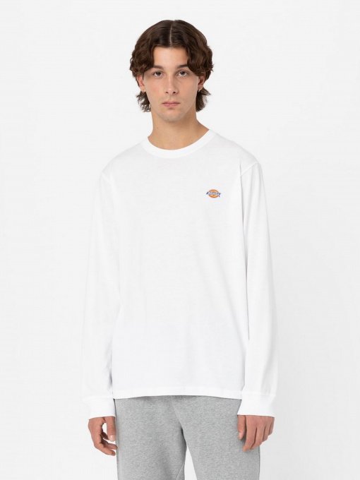 Худи и свитшоты Dickies Mapleton модель DK0A4Y4RWHX1 Фото