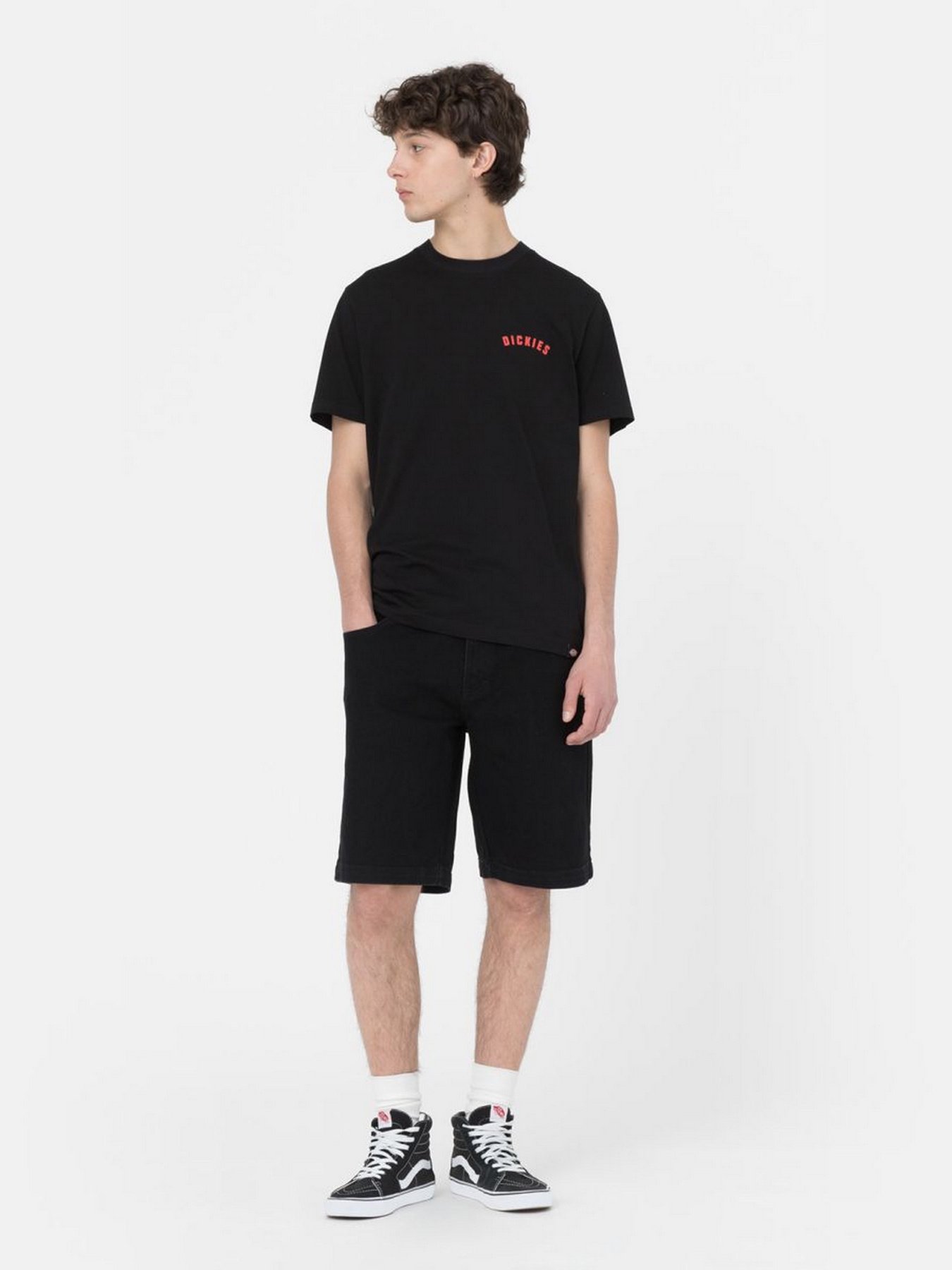 Шорти Dickies Wingville модель DK0A4Y7WBLK1 Фото