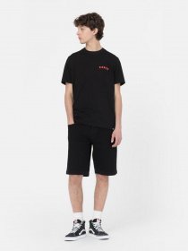 Шорти Dickies Wingville модель DK0A4Y7WBLK1 Фото