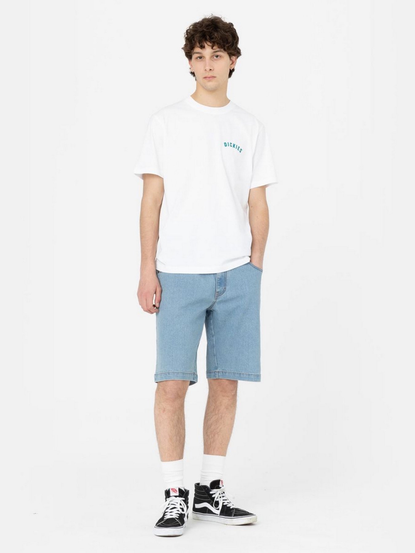 Шорти Dickies Wingville модель DK0A4Y7WLW01 Фото