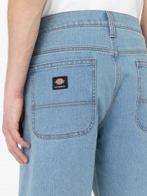 Шорти Dickies Wingville модель DK0A4Y7WLW01 Фото