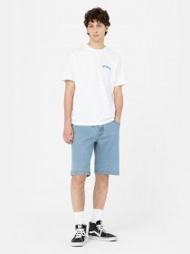 Шорти Dickies Wingville модель DK0A4Y7WLW01 Фото