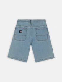 Шорти Dickies Wingville модель DK0A4Y7WLW01 Фото