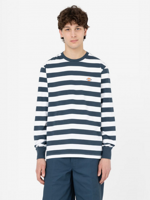 Худі та світшоти Dickies Rivergrove модель DK0A4YFYAF01 Фото