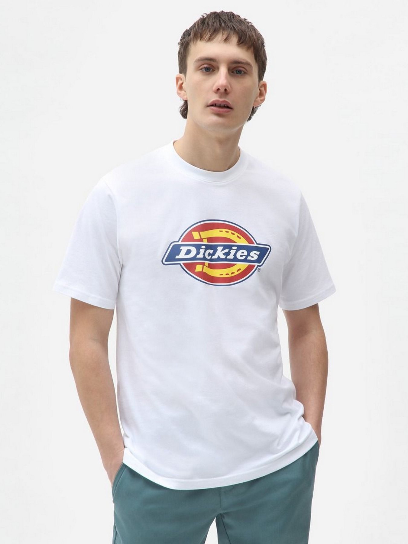 Футболки і поло Dickies Icon Logo модель DK0A4XC9WHX1 Фото