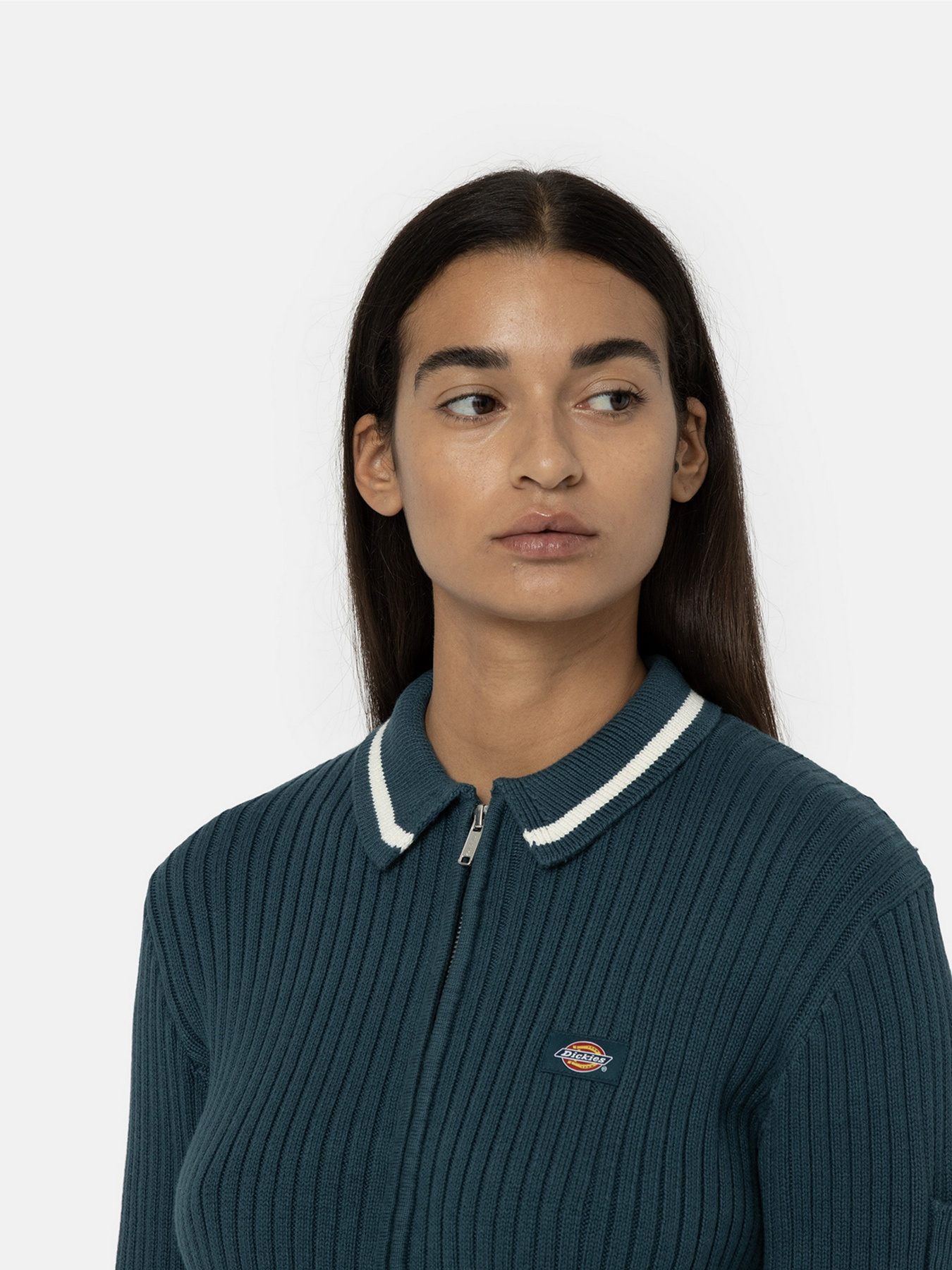 Худі та світшоти Dickies Elkhart Zip модель DK0A4YMGF971 Худі та світшоти Dickies Elkhart Zip модель DK0A4YMGF971 Фото