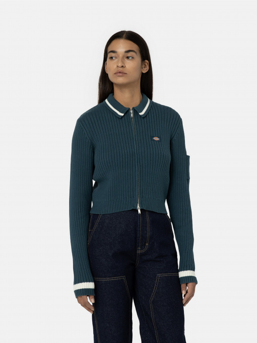 Худі та світшоти Dickies Elkhart Zip модель DK0A4YMGF971 Фото