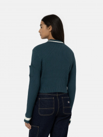Худі та світшоти Dickies Elkhart Zip модель DK0A4YMGF971 Фото