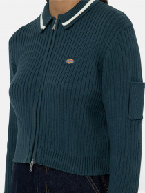Худі та світшоти Dickies Elkhart Zip модель DK0A4YMGF971 Фото