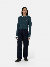 Худі та світшоти Dickies Elkhart Zip модель DK0A4YMGF971 Фото