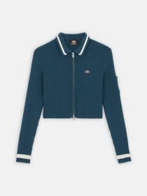 Худі та світшоти Dickies Elkhart Zip модель DK0A4YMGF971 Фото