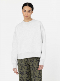 Худи и свитшоты Dickies Summerdale модель DK0A4XYXA281 Фото