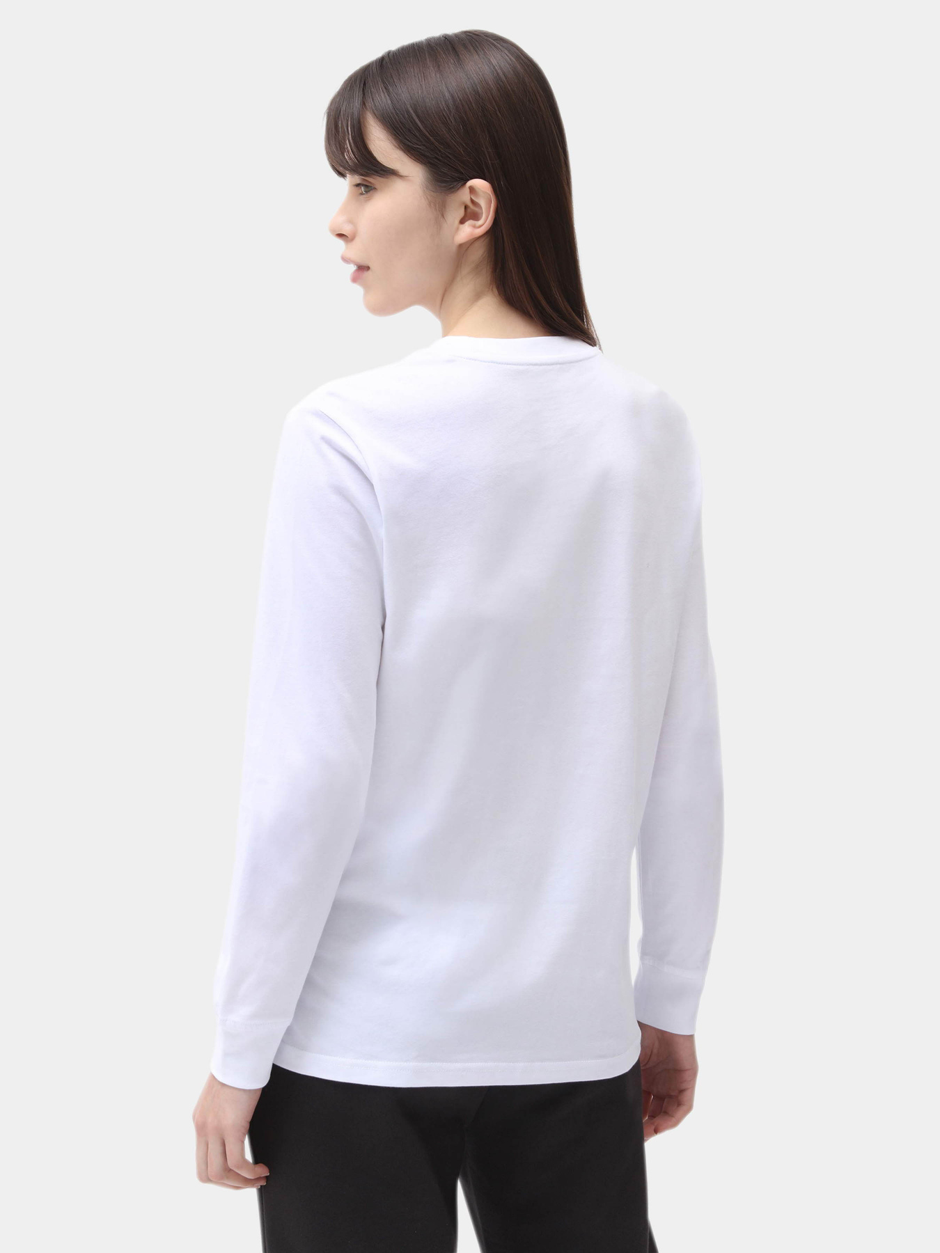 Худі та світшоти Dickies Ls Mapleton модель DK0A4XITWHX1 Худі та світшоти Dickies Ls Mapleton модель DK0A4XITWHX1 Фото