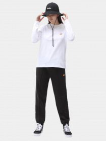 Худі та світшоти Dickies Ls Mapleton модель DK0A4XITWHX1 Фото