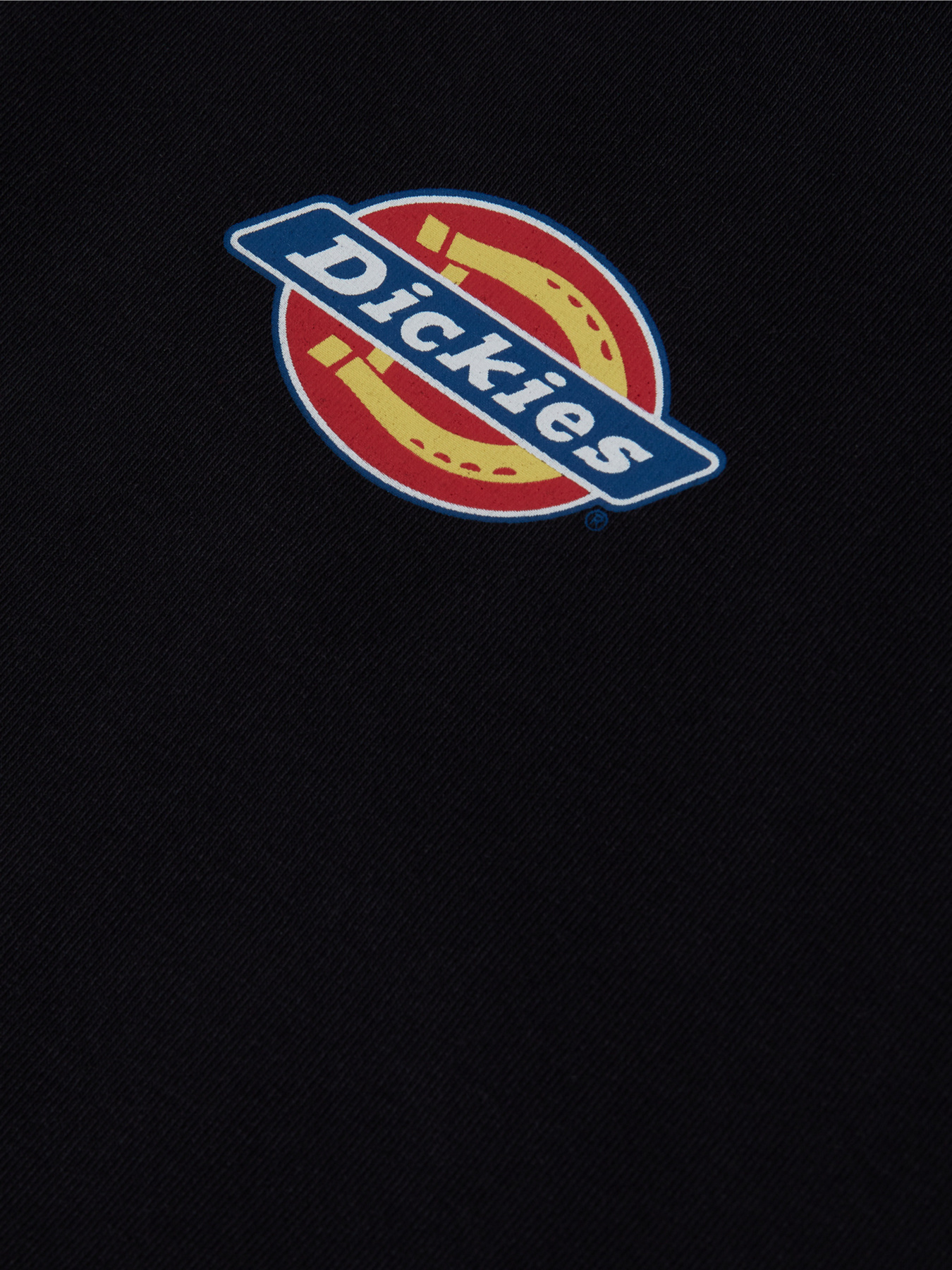Сукні Dickies Chain Lake модель DK0A4XMCBLK1 Фото