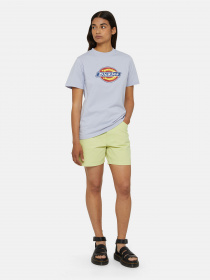 Шорти Dickies Duck Canvas Carpenter модель DK0A4XRSH701 Фото