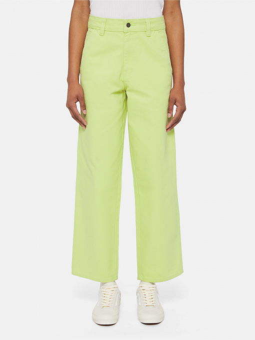 Брюки Dickies Duck Canvas модель DK0A4XZLH701 Фото