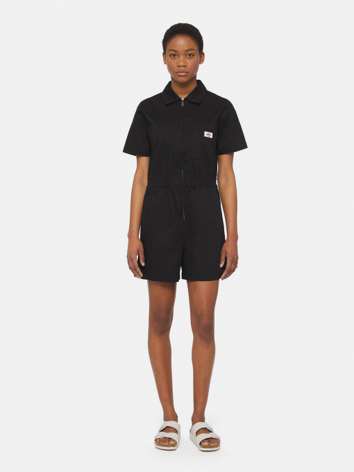 Комбинезоны Dickies Vale All модель DK0A4Y6CBLK1 Фото