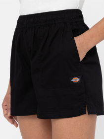 Шорты Dickies Vale модель DK0A4Y84BLK1 Фото