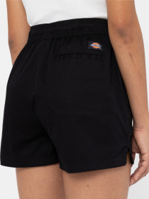 Шорты Dickies Vale модель DK0A4Y84BLK1 Фото