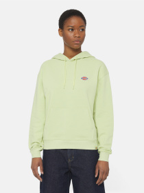 Худи и свитшоты Dickies Millersburg модель DK0A4YQCH141 Фото