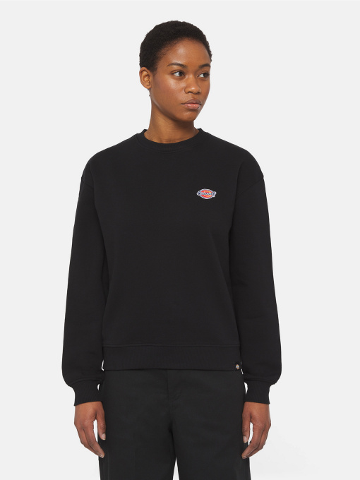 Худи и свитшоты Dickies Millersburg модель DK0A4YQDBLK1 Фото