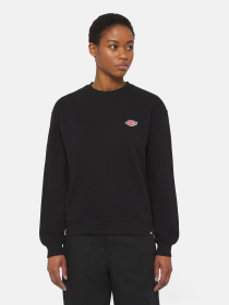 Худи и свитшоты Dickies Millersburg модель DK0A4YQDBLK1 Фото