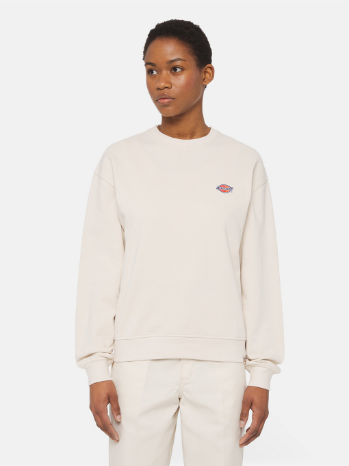 Худи и свитшоты Dickies Millersburg модель DK0A4YQDF901 Фото