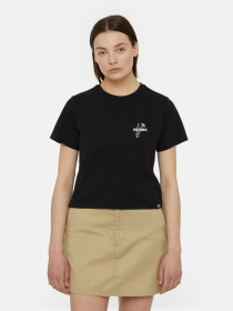 Футболки і поло Dickies Herndon Ss модель DK0A4YRPBLK1 Фото