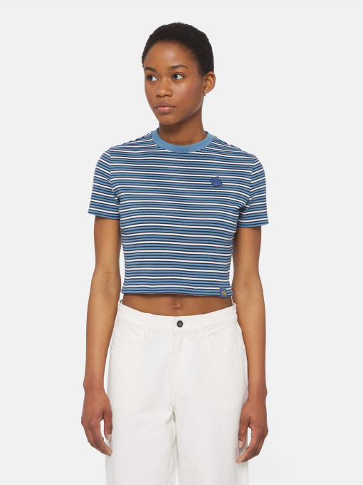 Футболки и поло Dickies Altoona Stripe Ss модель DK0A4YS7H171 Фото
