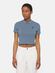 Футболки и поло Dickies Altoona Stripe Ss модель DK0A4YS7H171 Фото