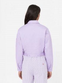 Куртки та дублянки Dickies Lined Eisenhower Cropped модель DK0A4XKCE611 Фото