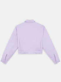 Куртки та дублянки Dickies Lined Eisenhower Cropped модель DK0A4XKCE611 Фото