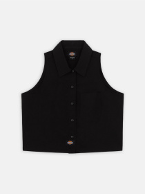 Рубашки Dickies Ss Saltville модель DK0A4YSVBLK1 Фото