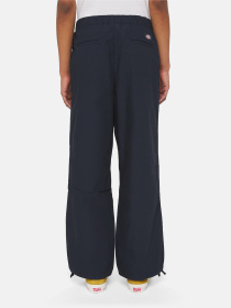 Брюки Dickies Fishersville модель DK0A4YV4DNX1 Фото