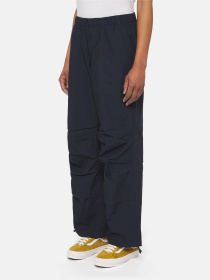 Брюки Dickies Fishersville модель DK0A4YV4DNX1 Фото