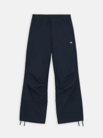 Брюки Dickies Fishersville модель DK0A4YV4DNX1 Фото