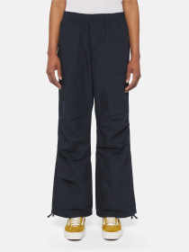 Штани Dickies Fishersville модель DK0A4YV4DNX1 Фото