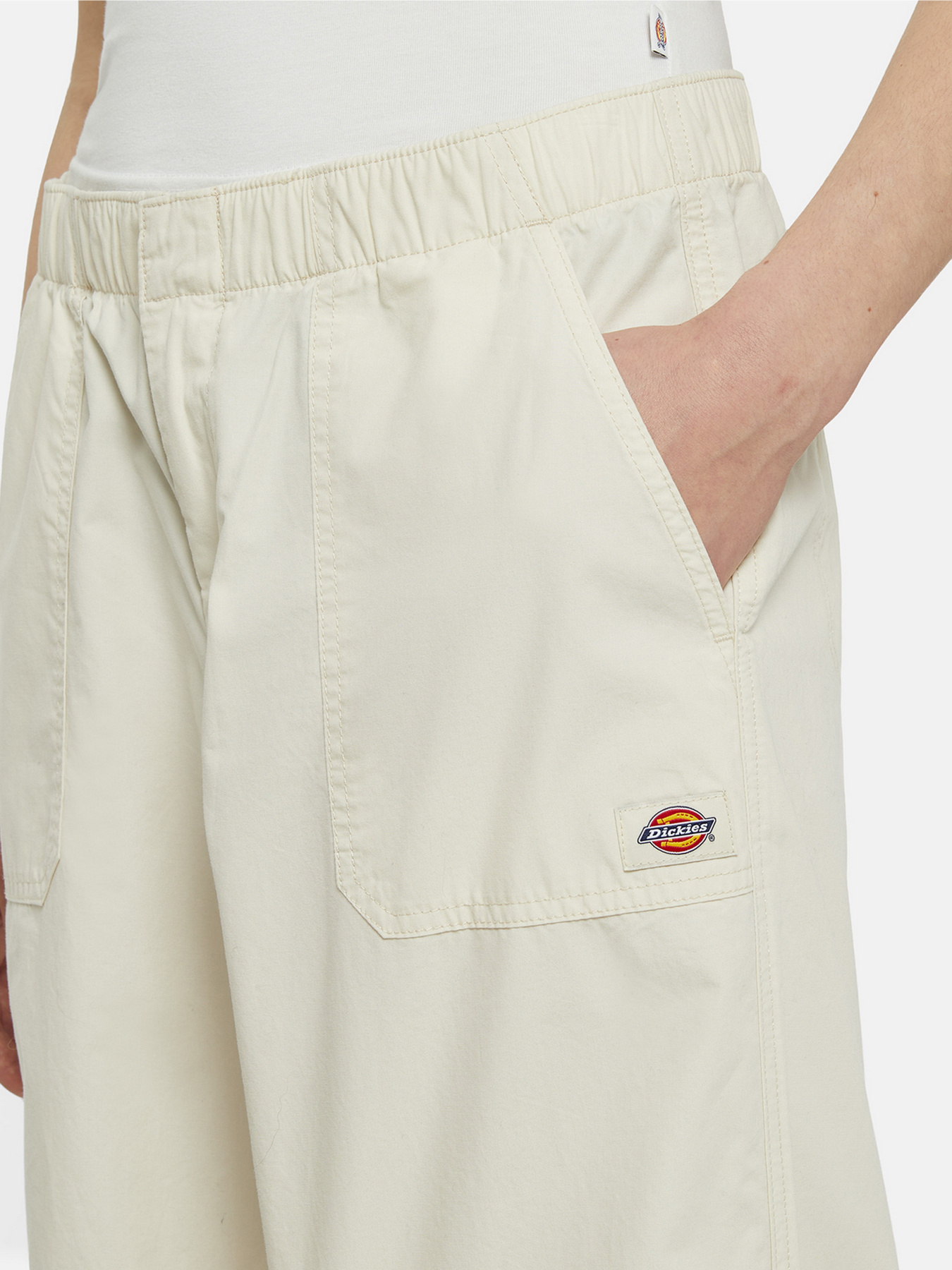 Штани Dickies Fishersville модель DK0A4YV4F901 Фото