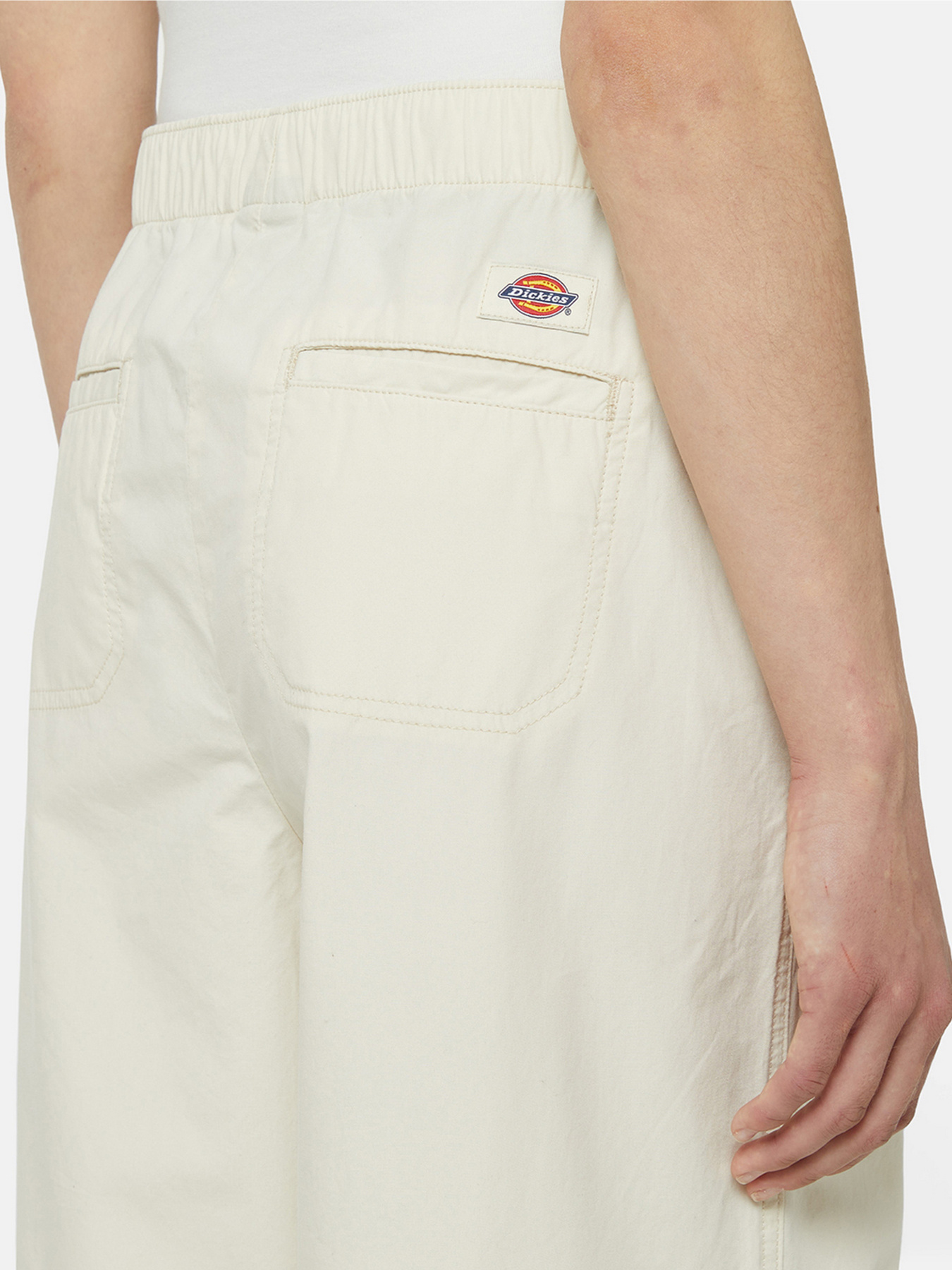 Штани Dickies Fishersville модель DK0A4YV4F901 Фото