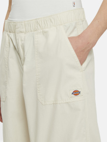 Штани Dickies Fishersville модель DK0A4YV4F901 Фото