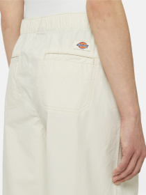 Штани Dickies Fishersville модель DK0A4YV4F901 Фото