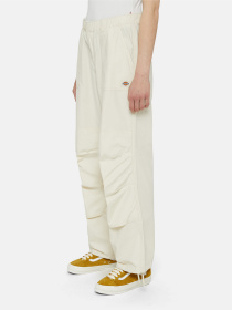 Штани Dickies Fishersville модель DK0A4YV4F901 Фото