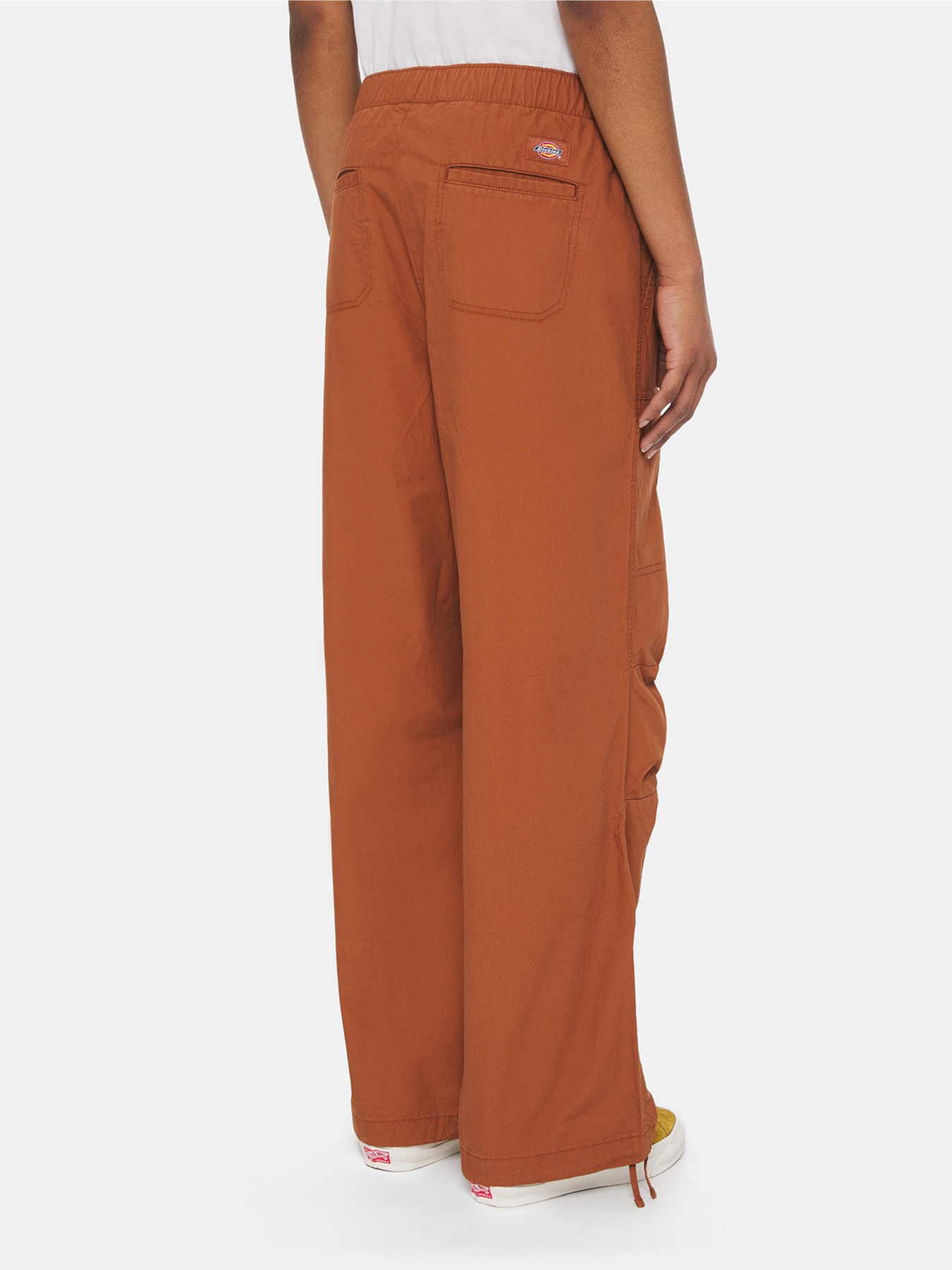 Штани Dickies Fishersville модель DK0A4YV4H161 Фото
