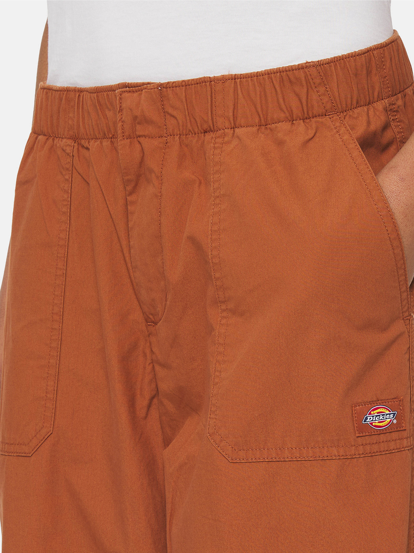 Штани Dickies Fishersville модель DK0A4YV4H161 Фото